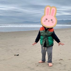 EUC Patagonia Baby Bivy Down Vest